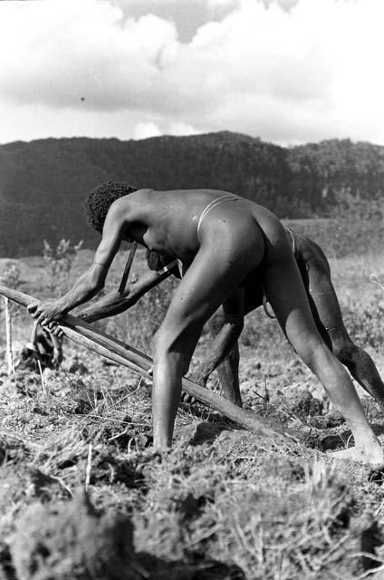 Men working in a garden