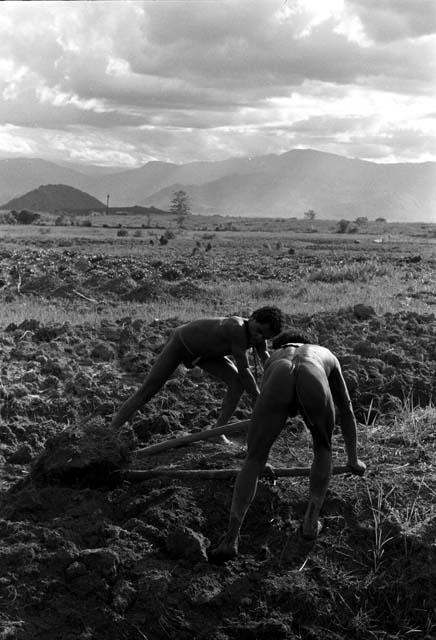 Men working in a garden