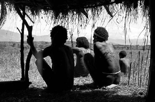 Men seated beneath an oléa waiting for the war to begin