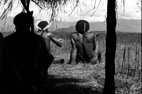 Men sitting under an oléa looking out; Weaklekek; Tegé Warek; Tuesiké are there