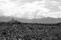 View of the Hellerabet kaio and the Siobara, from the fields to the east