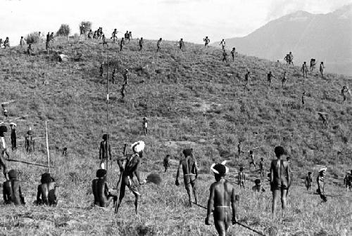 Maitmo watches as the armies meet and fight