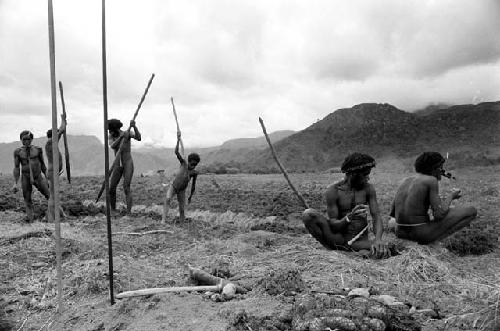 People working in a field