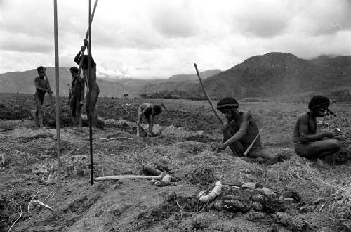 People working in a field