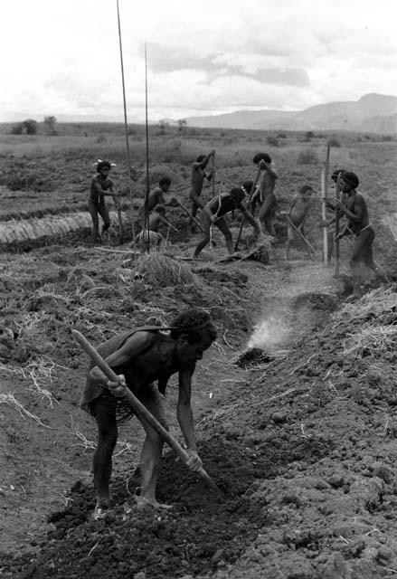 People working in a field