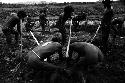 Men working in a field