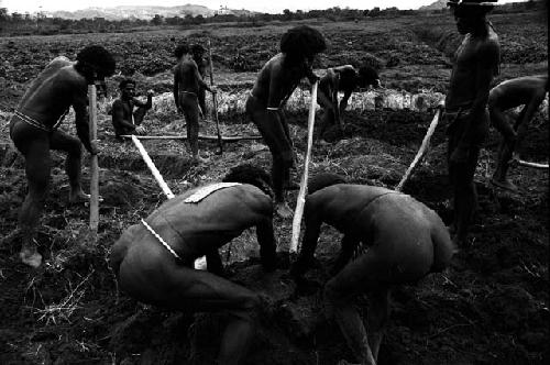 Men working in a field