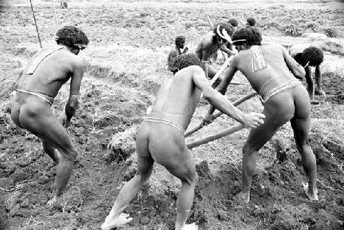 Men working in a field; breaking up sod