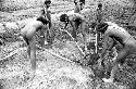 Men working in a field; breaking up sod