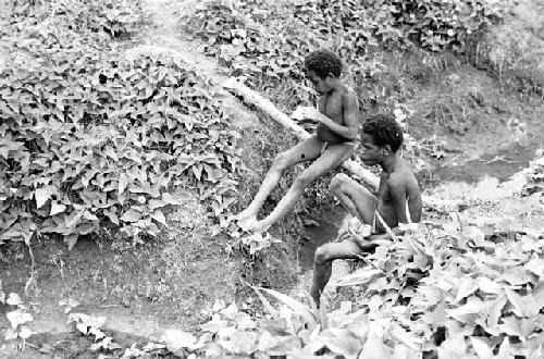 Boys sit by an irrigation ditch