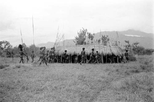 Men sit under an oléa on the Liberek, their spears around them