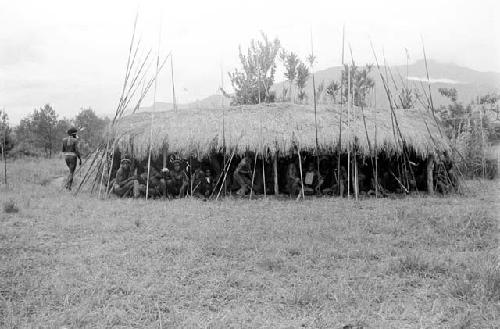 Men sit under an oléa on the Liberek, their spears around them