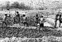 Men working in a field