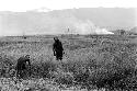 Women in a field; fires burn in the distance