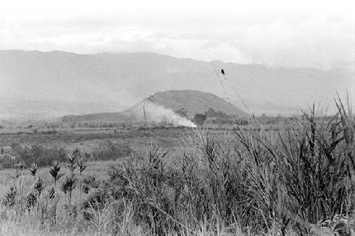 A bird sitting on long grass; fire and the Siobara in the distance