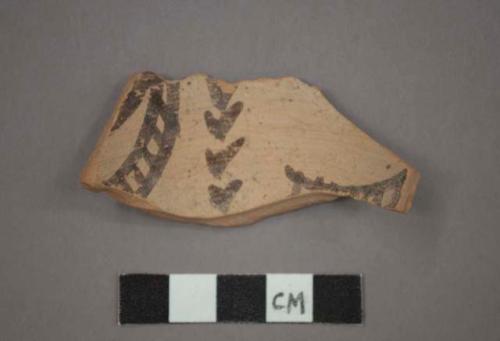 Ceramic body sherd, black painted designs on buff on both interior and exterior