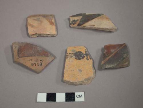 Selected potsherds