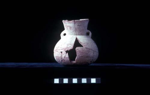 Small white jar from Site 135