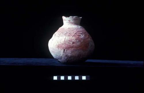 Bottle from Site 131