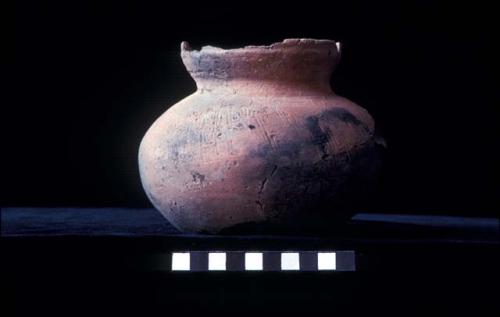 Jar from Site 133