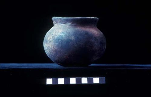 Jar from Site 131