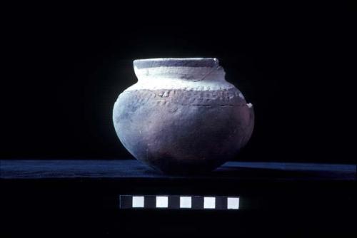 Jar from Site 131