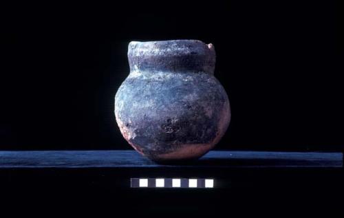 Jar from Site 146