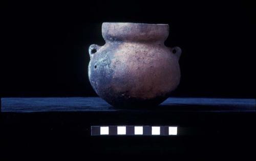 Jar from Site 146