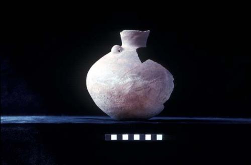 Jar from Site 131