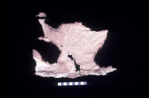 Textile fragment with fringe from Site 134