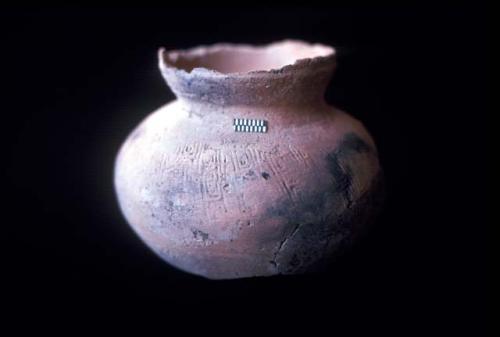 Squared spiral paddle stamped jar from Site 133