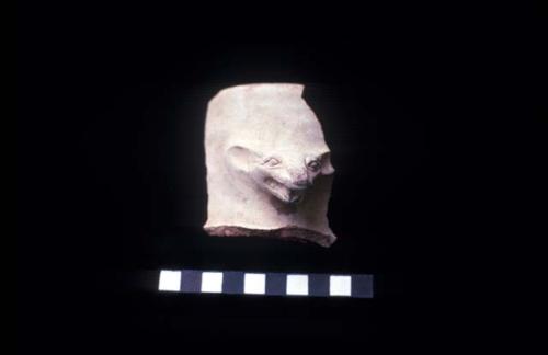 Molded applique animal face on medium slightly everted jar neck from Site 128