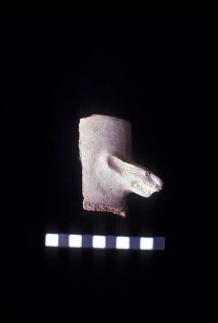 Molded applique animal face on medium slightly everted jar neck from Site 128