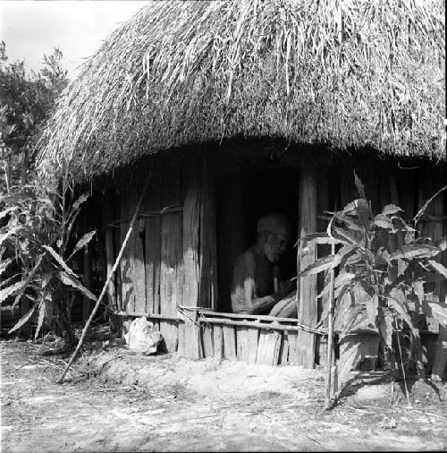 Hijok in men's house