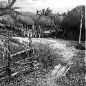 Bridge over small ditch in back yard, looking into yard