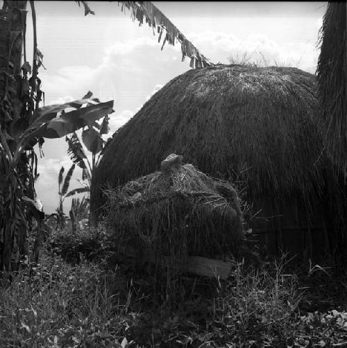 Structure on stilts behind ebeai