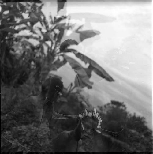 Karl Heider negatives, New Guinea