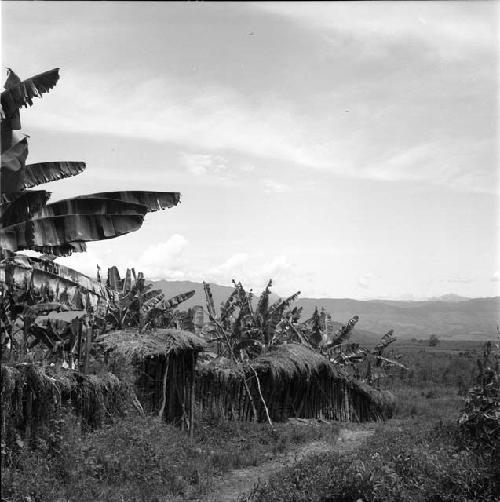 Front fence of Wupakaima