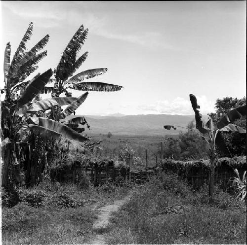 View from KGH yard, Wupakaima