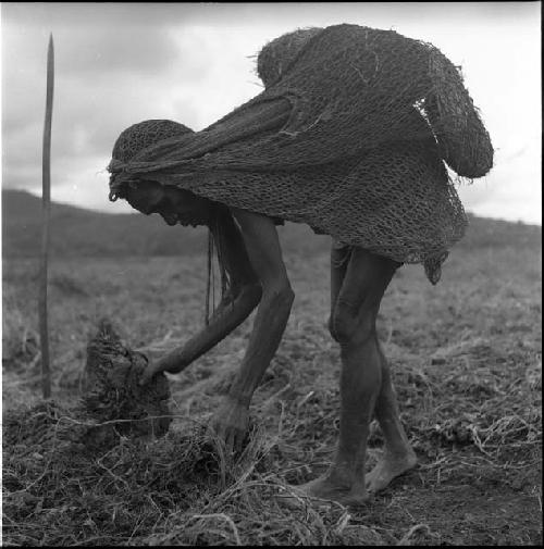 Woman with nets turning earth