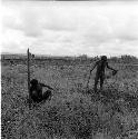 Men gardening