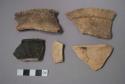 Sherds