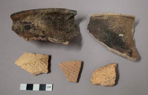 Sherds