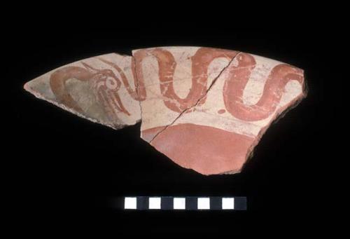 Ceramic sherd from Site 133