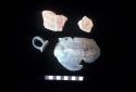 Ceramic sherds from Site 123