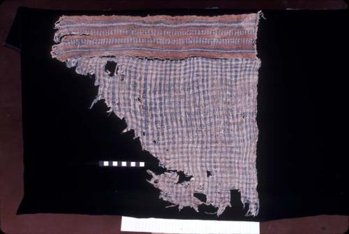 Blue and white plaid textile fragment with brown, blue and white border from Site 19