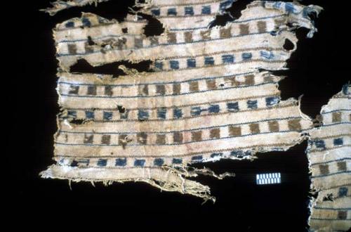 Textile fragment with small blue and brown warp square from Site 19