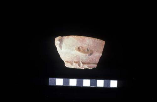 Ceramic rim sherd from Site 110