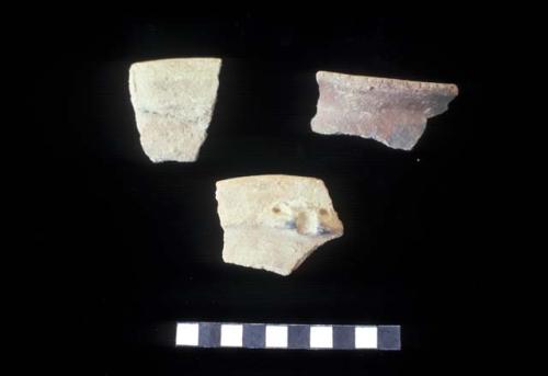 Ceramic sherds from Site 110