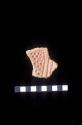 Ceramic sherd from Site 110